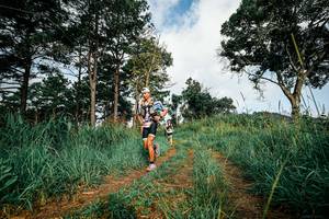 BIB: 
                            <button type="button" onclick="openModal(26011038)" class="btn btn-primary btn-sm float-right btn-popup" data-toggle="modal" data-target=".modal-high-quality">
                        <i class="fas fa-shopping-cart"></i> Add to Cart
                    </button>
                                            <button type="button" onclick="isThisMe(26011038, true)" class="btn btn-success btn-sm float-right btn-popup btn-isme hidden" data-toggle="tooltip" data-placement="bottom" title="นี่คือรูปของคุณใช่ไหม คลิกที่นี่เพื่อเอาเข้าอัลบั้ม">
                        <i class="fas fa-plus"></i> Add to album
                    </button>
                    <button type="button" onclick="isThisMe(26011038, false)" class="btn btn-warning btn-sm float-right btn-popup btn-isnotme hidden">
                        <i class="fas fa-ban"></i> Remove from album
                    </button>